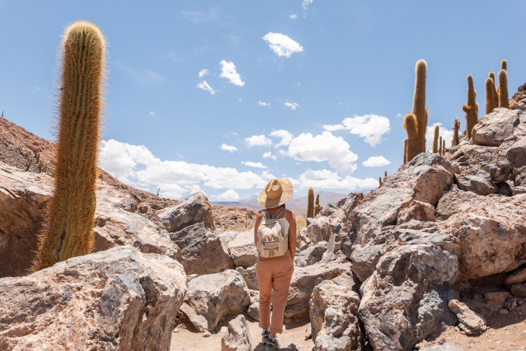 Woman Hiking through Desert Landscape with Backpack and Straw Hat